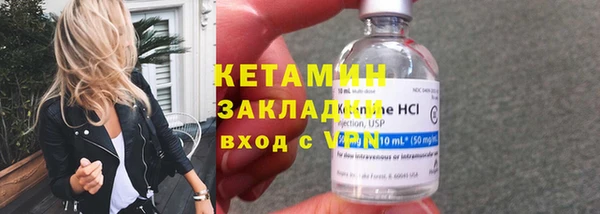 сатива Новодвинск
