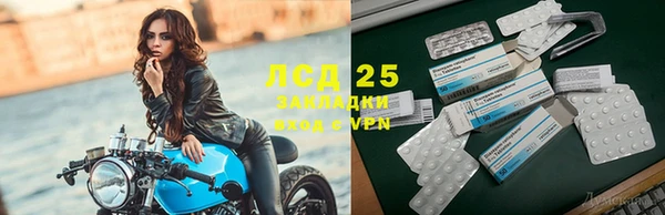 сатива Новодвинск