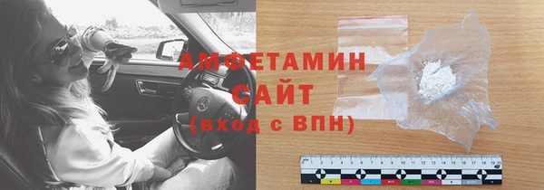 сатива Новодвинск