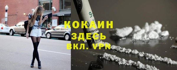 шишки Нефтегорск
