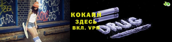 сатива Новодвинск