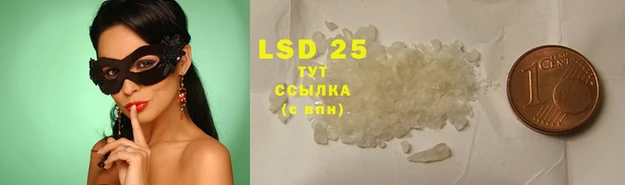 каннабис Новозыбков