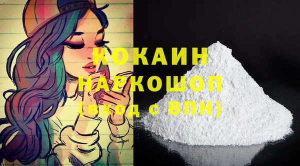 сатива Новодвинск