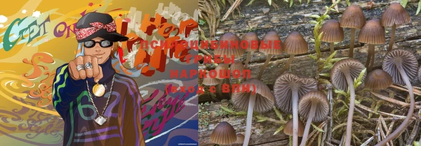 каннабис Новозыбков