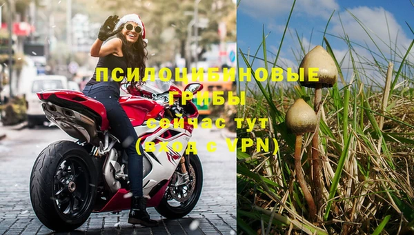 бошки Новокубанск