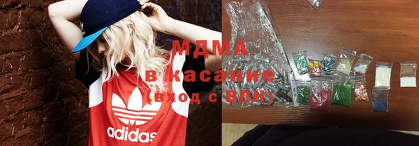 сатива Новодвинск