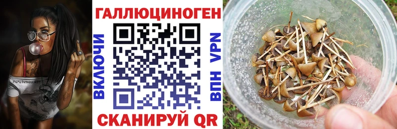 Галлюциногенные грибы Magic Shrooms  где купить наркоту  Новохопёрск 